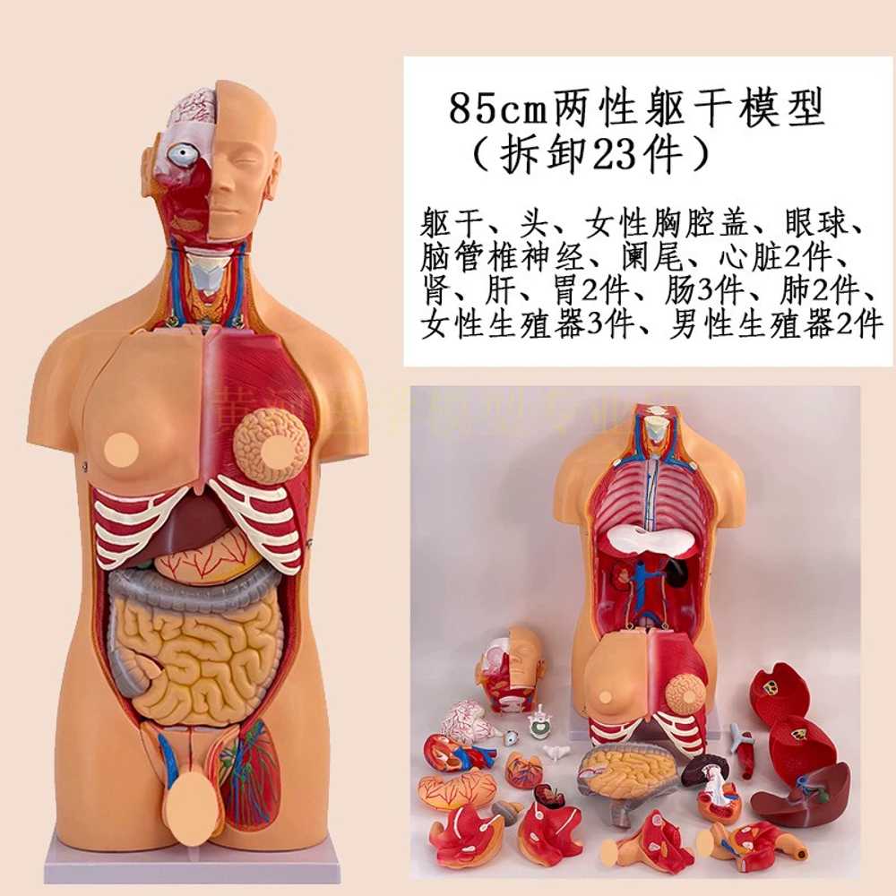 1pc 장식용 작은 점 스텐실 재사용 가능한 플라스틱 템플릿 장식 diy 스크랩북 엠보싱 배경 스텐실 종이 카드 만들기 장식 사진 선물  축복 감사 카드 이드 알-아드하 무바라크 - 예술품\u0026공예품\u0026봉제 용품 - Temu, image size:1000x1000